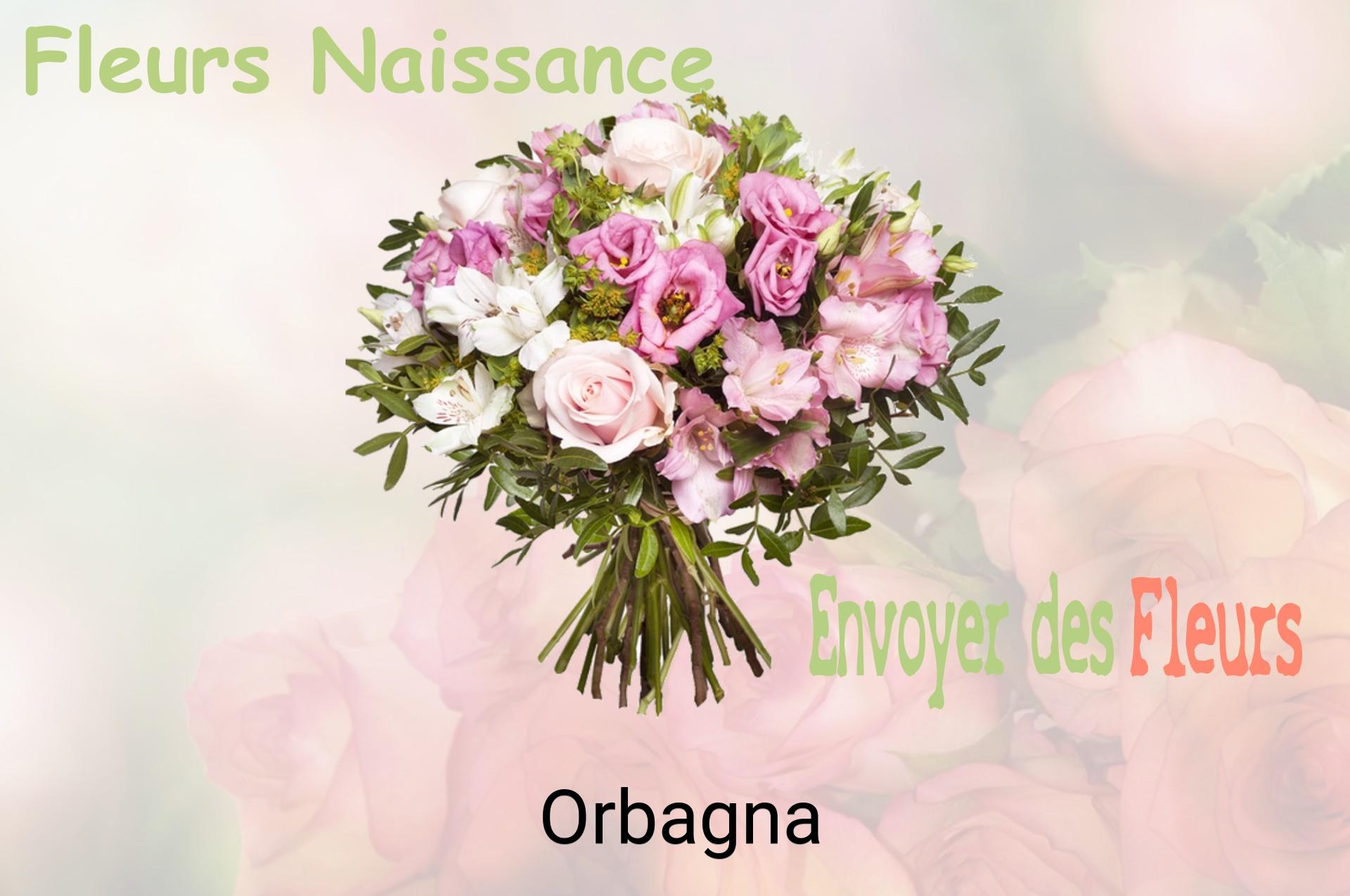 Bouquet de fleurs de naissance livré à Orbagna