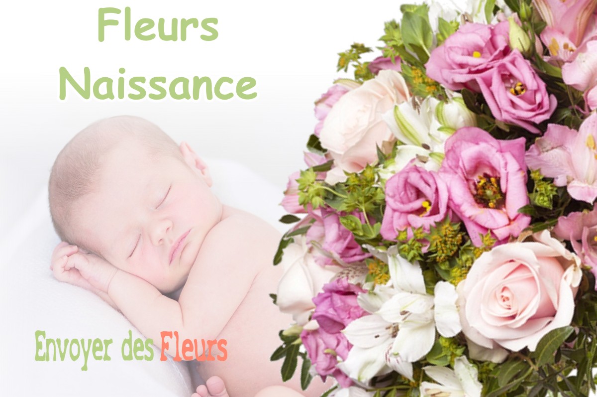 lIVRAISON FLEURS NAISSANCE à ORBAGNA